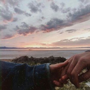 Meet your Posher, Bella